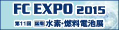 FC EXPO 2015 Logo